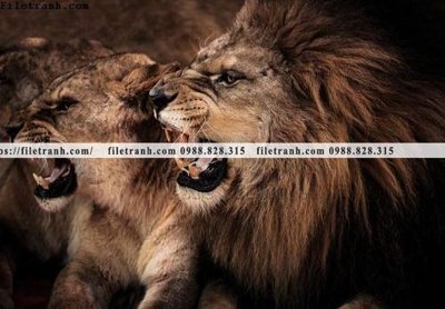 File PSD tranh su tu dep 600 (gốc) cho in quảng cáo