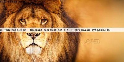 File gốc tranh su tu dep 604 (chuẩn CMYK) cho nhà in