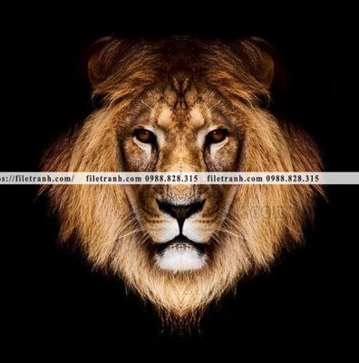 File PSD tranh su tu dep 605 (chất lượng in ấn)