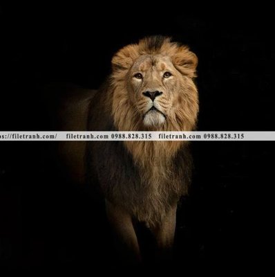 Download file gốc tranh su tu dep 624 (dùng cho in ấn)