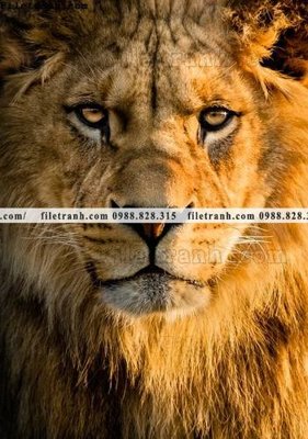 File gốc tranh su tu dep 628 (in ấn) không giới hạn