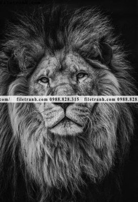 File PSD tranh su tu dep 629 (gốc) nhiều lớp (multi-layer)