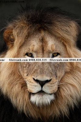 Download file gốc tranh su tu dep 630 (in lụa) nghệ thuật