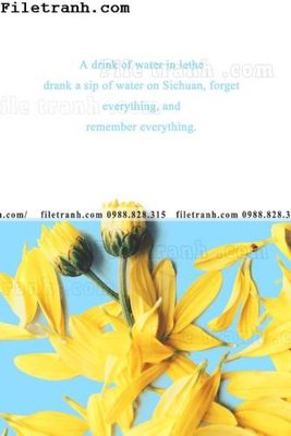 File tranh gốc tranh trang tri bac au dep 184 (bản quyền) Filetranh.com