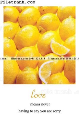 File in ấn tranh trang tri bac au dep 225 chuyên nghiệp