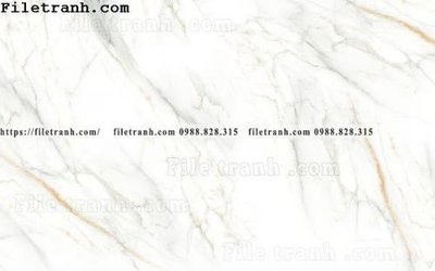 Tệp tin gốc tranh van da cam thach mau tro 134 (chất lượng cao) tranh van da cam thach mau tro 134