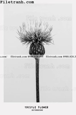 File in trần tranh ve hoat hinh phong tre em 229 (bản gốc) bầu trời