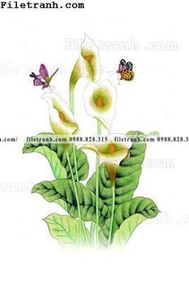 Download file tranh ve hoat hinh phong tre em 298 (chất lượng in ấn)