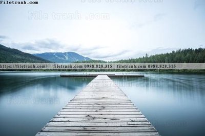 File in ấn cao cấp truc quan ve phong canh 134 (file gốc)