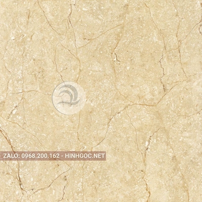Hình in ấn, nền đá cẩm thạch chất lượng cao - FEDCT-268