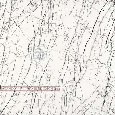 Hình in ấn, nền đá cẩm thạch chất lượng cao - FEDCT-319