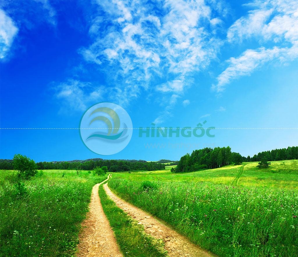 Hình ảnh phong cảnh thiên nhiên, con đường và cỏ mọc-imagestock-0034