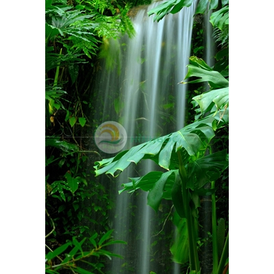 Hình ảnh phong cảnh thác nước chảy trong rừng xanh-imagestock-0267