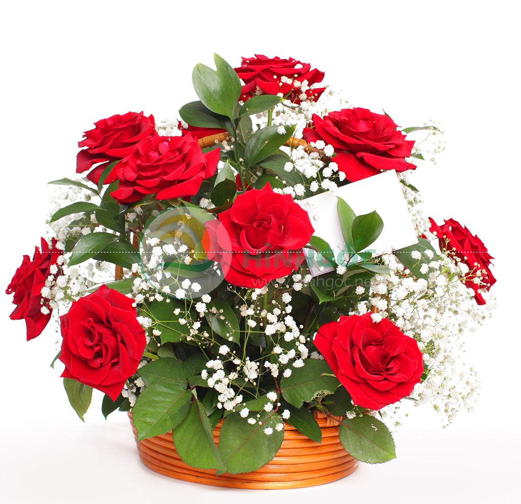Giỏ hoa đẹp tặng bạn ngày 2010  Điện hoa Hải Hà  Dịch vụ điện hoa toàn  quốc uy tín chất lượng