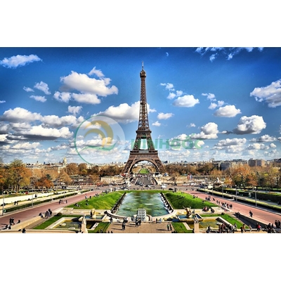 Hình ảnh cây tháp Eiffel trong thành phố -imagestock-0504